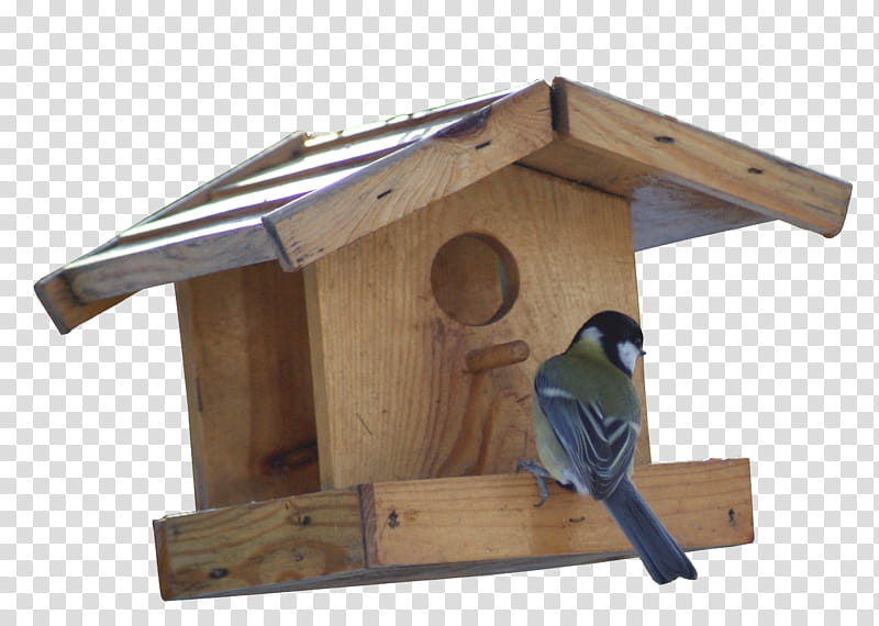 little house birds, blue bird house transparent background PNG clipart