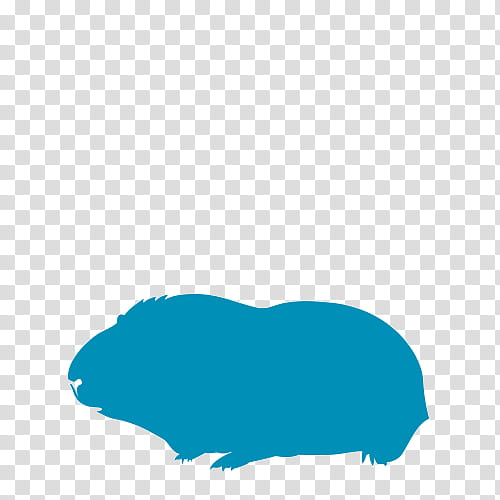 Hamster, Rat, Dog, Snout, Pet, Blue, Turquoise, Guinea Pig transparent background PNG clipart