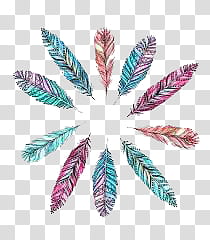 assorted-color feather lot illustration transparent background PNG clipart