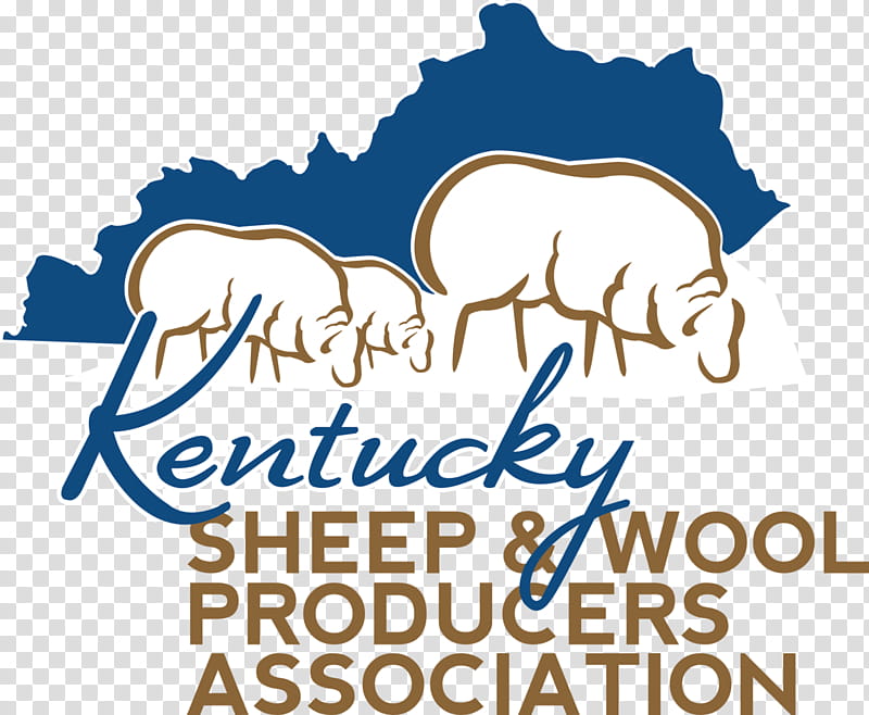 Cartoon Sheep, Logo, Kentucky, Wool, Line, Animal, Festival, Text transparent background PNG clipart