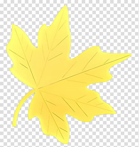 Family Tree, Cartoon, Maple Leaf, Yellow, Woody Plant, Black Maple, Plane, Flowering Plant transparent background PNG clipart