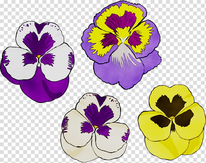 Flower Purple, Pansy, Herbaceous Plant, Plants, Violet, Wild Pansy, Petal, Yellow transparent background PNG clipart