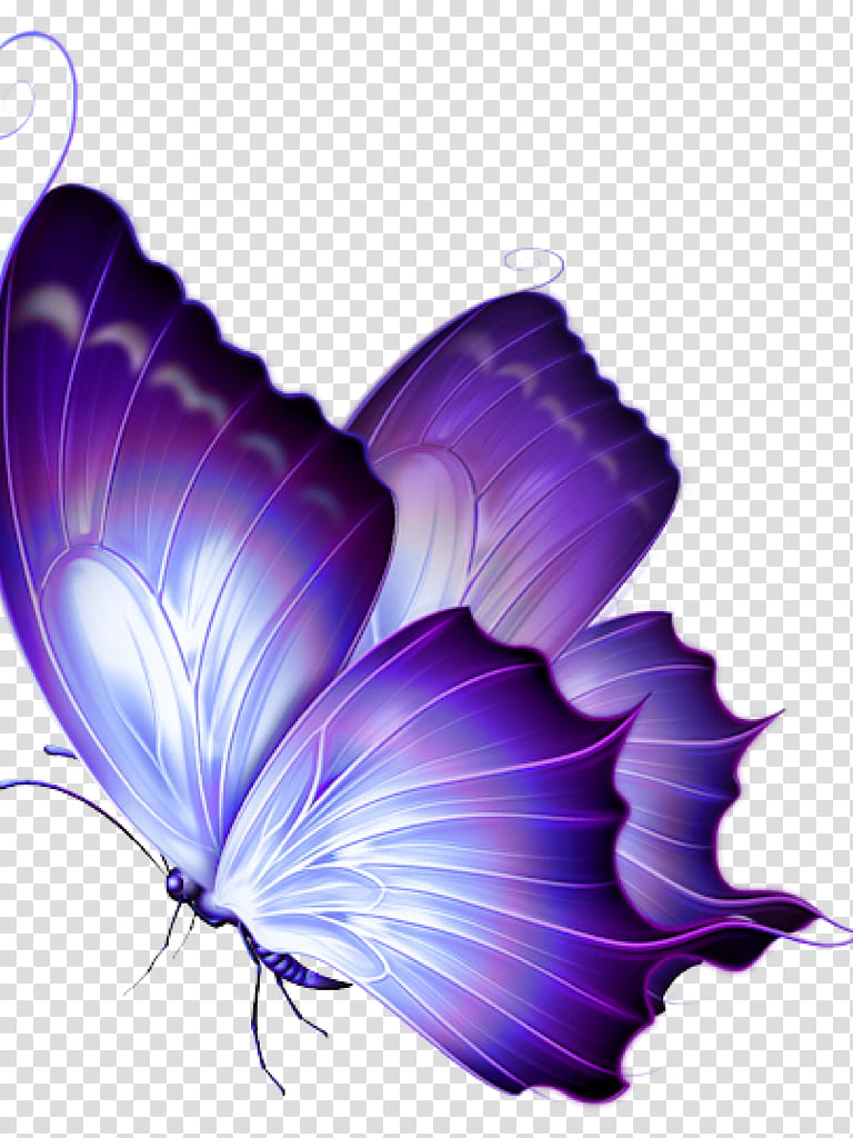 Watercolor Butterfly, Drawing, Papillon, Painting, Glasswing Butterfly, Watercolor Painting, Tattoo, Purple transparent background PNG clipart