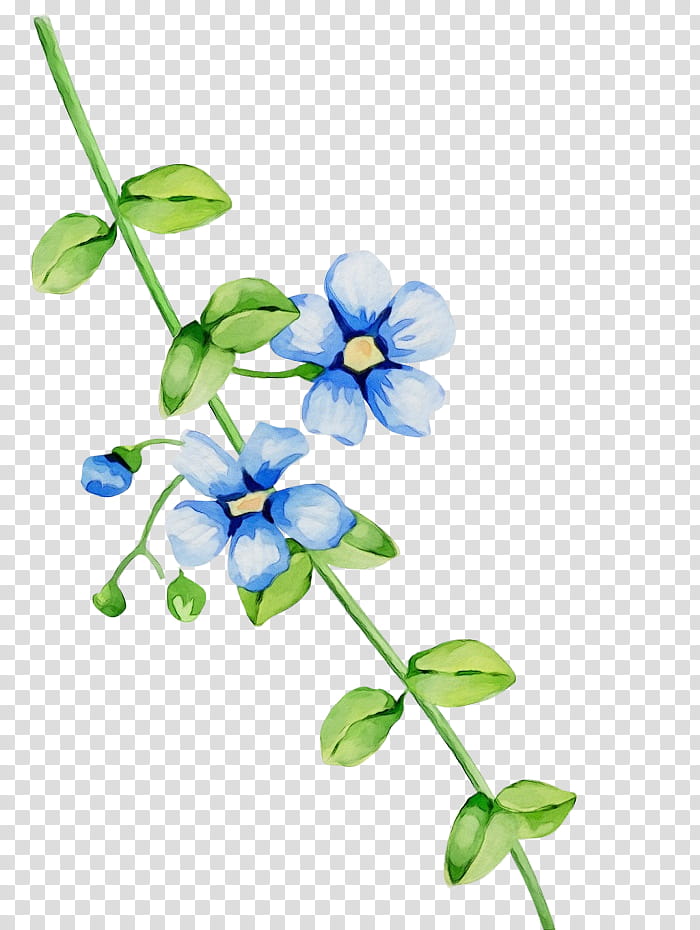 flower blue plant flowering plant petal, Watercolor, Paint, Wet Ink, Borage Family, Plant Stem, Wildflower transparent background PNG clipart