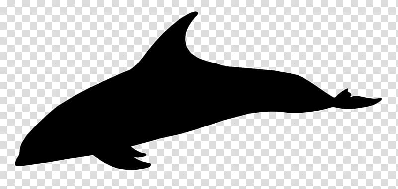 Whale, Dolphin, Porpoise, Whales, Cetaceans, Silhouette, Beak, Bottlenose Dolphin transparent background PNG clipart