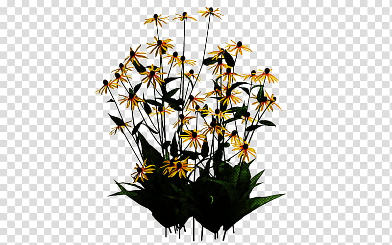 flower plant cut flowers dendrobium wildflower, Orchid transparent background PNG clipart