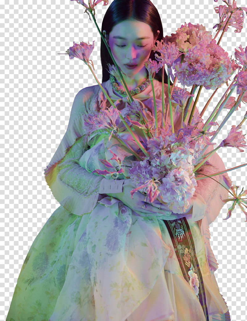 Sulli, W Korea , (Axlih) transparent background PNG clipart