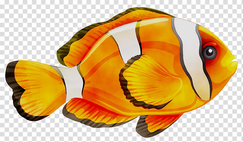 Coral Reef, Drawing, Painting, Fish, Anemone Fish, Pomacentridae, Clownfish, Yellow transparent background PNG clipart