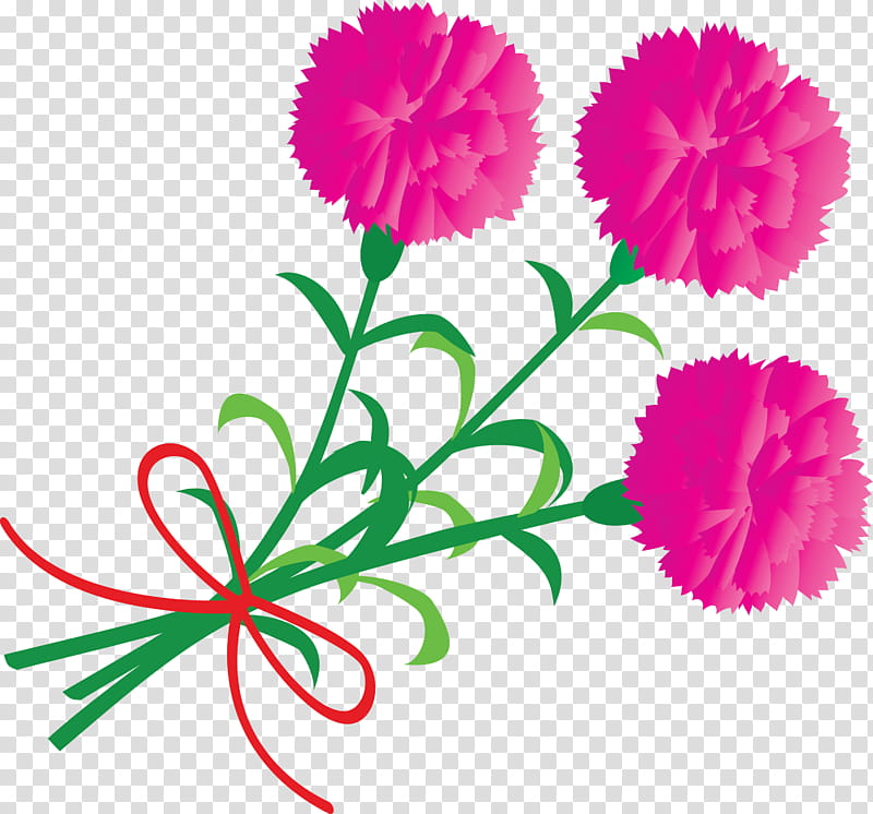 Mothers Day Carnation Mothers Day flower, Pink, Plant, Cut Flowers, Pink Family, Petal, Pedicel, Dianthus transparent background PNG clipart
