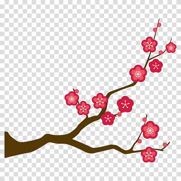 Cherry Blossom, Plum Blossom, Umenohana Co Ltd, Umeboshi, Li Hing Mui, Mito, Branch, Flower transparent background PNG clipart