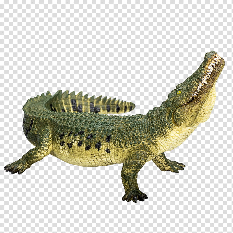 Dinosaur, Crocodile, Nile Crocodile, American Alligator, Animal, Triceratops, Safari Ltd, Jaw transparent background PNG clipart
