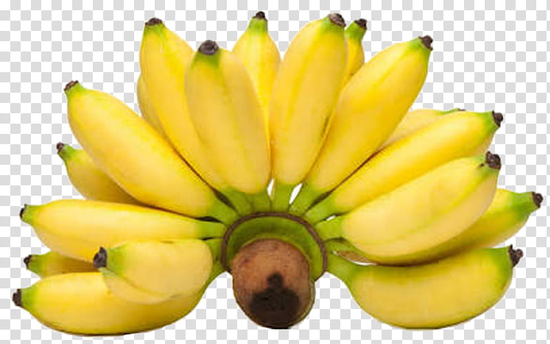 Banana, Lady Finger Banana, Pisang Goreng, Banana Bread, Cooking Banana, Saba Banana, Food, Pisang Awak transparent background PNG clipart