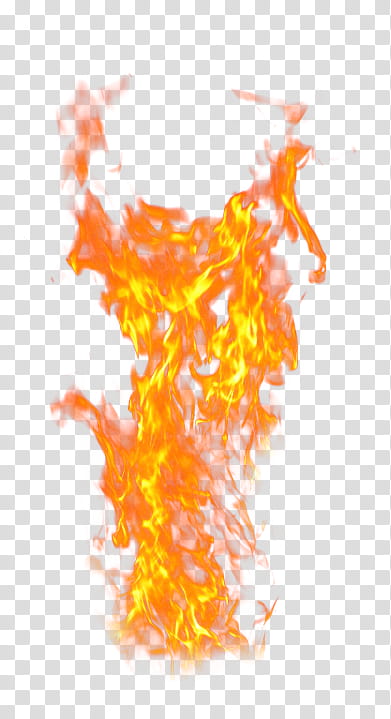 Fire, orange flame illustration transparent background PNG clipart ...