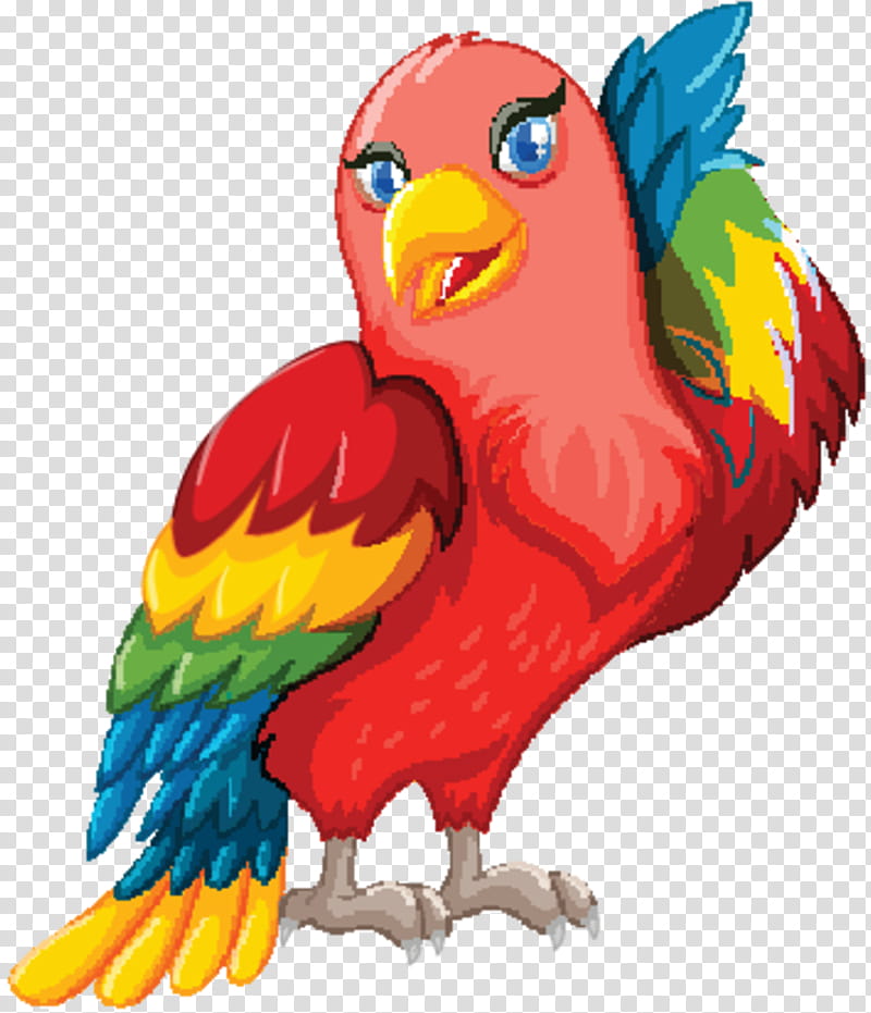 Bird Parrot, Drawing, Coloring Book, Lorikeet, Beak, Bird Toy, Bird Supply, Macaw transparent background PNG clipart