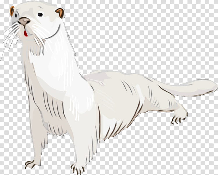 Dog And Cat, Watercolor, Paint, Wet Ink, Whiskers, Bear, Mustelids, Mammal transparent background PNG clipart
