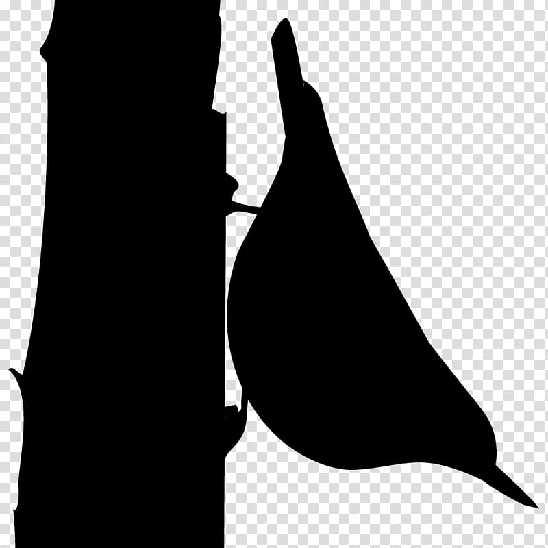 Book Black And White, Coloring Book, Watchung, Black White M, Paint, Sittidae, Eurasian Nuthatch, Redbreasted Nuthatch transparent background PNG clipart