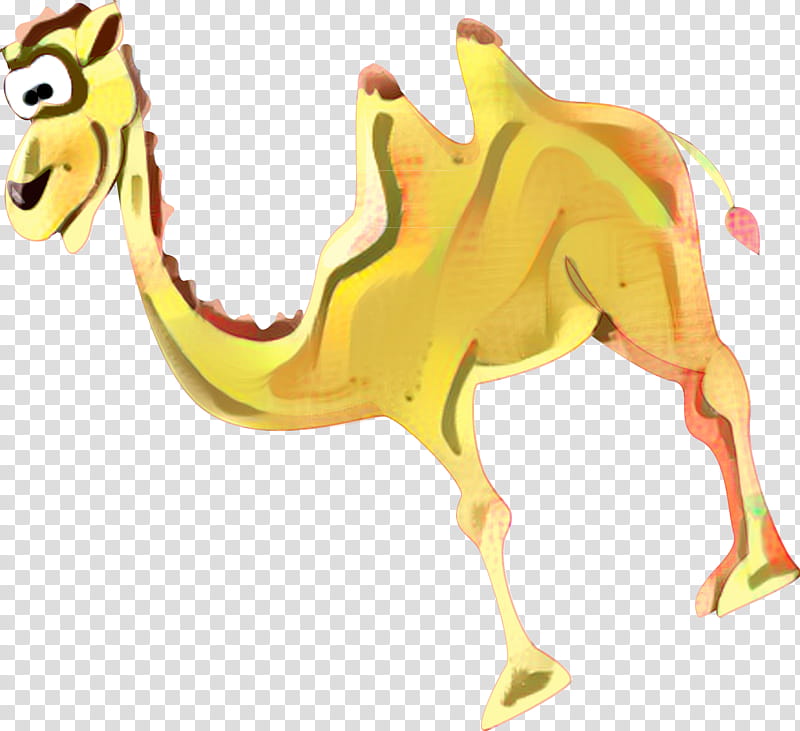 Dromedary Camel, Character, Yellow, Cartoon, Animal, Camelid, Arabian Camel, Animal Figure transparent background PNG clipart