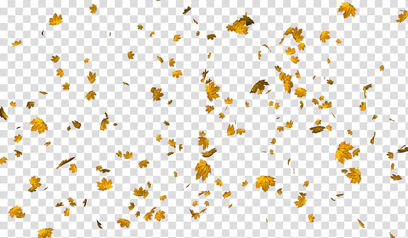 leaf scatter, falling maple leaves illustration transparent background PNG clipart