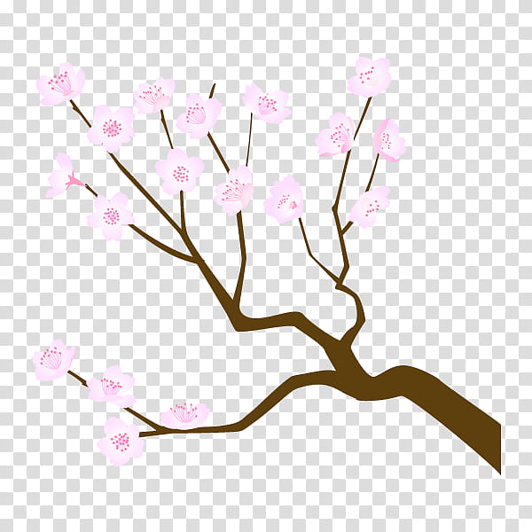 Love Background Heart, Cherry Blossom, Flower, Stau150 Minvuncnr Ad, Floral Design, Plant Stem, Petal, Cut Flowers transparent background PNG clipart