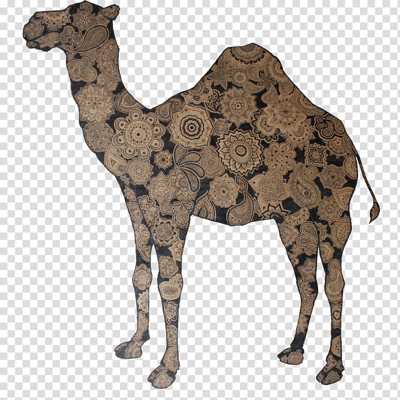 India, Dromedary, India Ink, Royans, Ink Wash Painting, Animal, Bar, Camel transparent background PNG clipart
