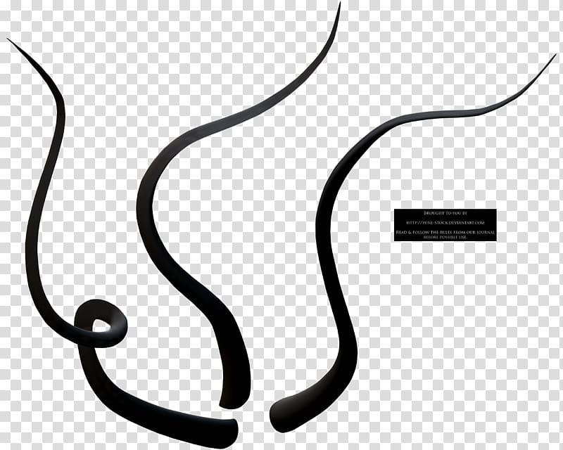 Fune Tentacle , three black lines transparent background PNG clipart