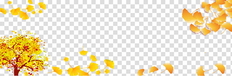 Orange, Yellow, Petal, Plant, Flower, Pollen transparent background PNG clipart