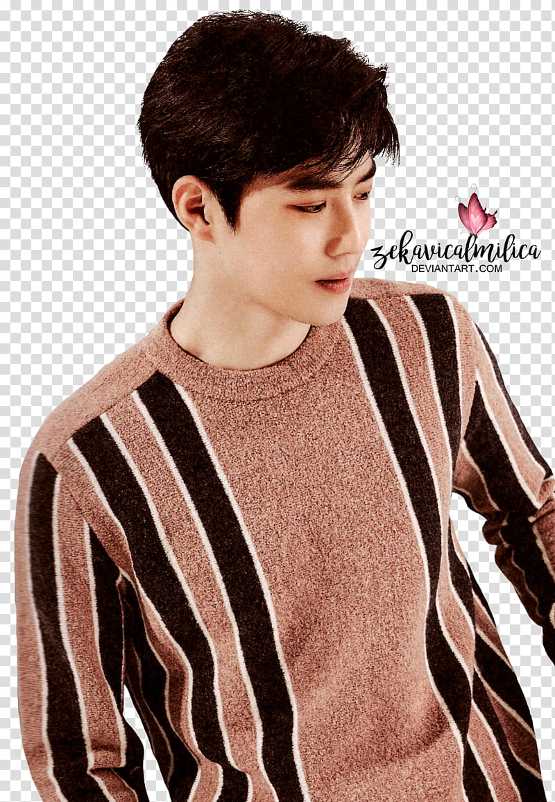 EXO Suho  Season Greetings transparent background PNG clipart