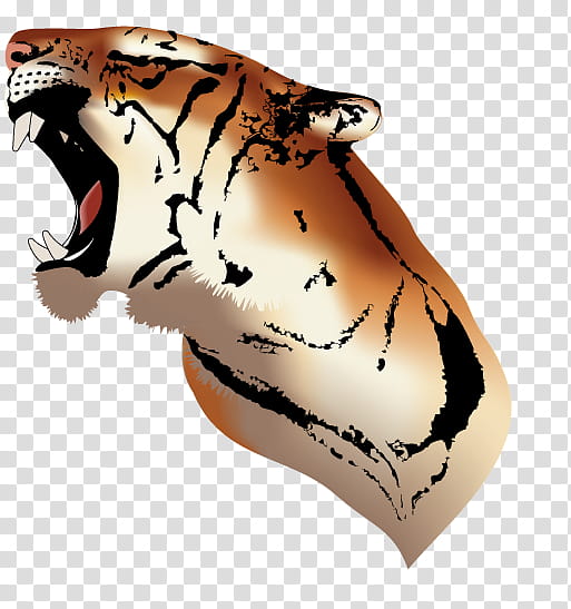 Simplified Tiger, brown, white, and black tiger illustration transparent background PNG clipart
