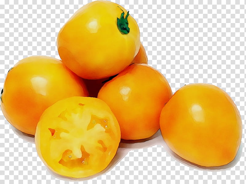 Tomato, Watercolor, Paint, Wet Ink, Fruit, Yellow, Plum Tomato, Food transparent background PNG clipart