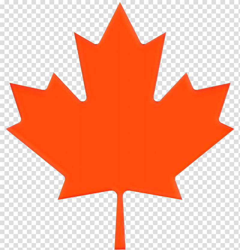 Black Day Symbol, Canada Day, Maple Leaf, Flag Of Canada, Canadian Gold Maple Leaf, Red Maple, Sugar Maple, Zazzle transparent background PNG clipart