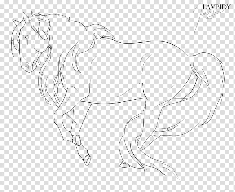 Hairy horse Lineart, black horse illustration transparent background PNG clipart