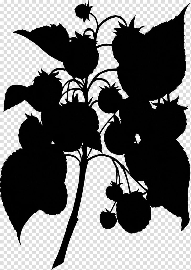 Flower Leaves, Grape, Silhouette, Leaf, Branching, Blackandwhite, Plant, Vitis transparent background PNG clipart