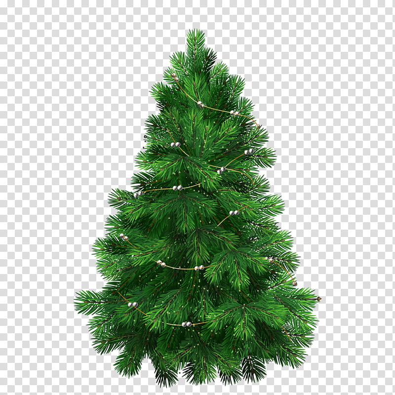 Christmas Resource , green christmas tree transparent background PNG clipart