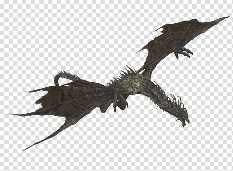 Lotric Wyverns, gray dragon illustration transparent background PNG clipart