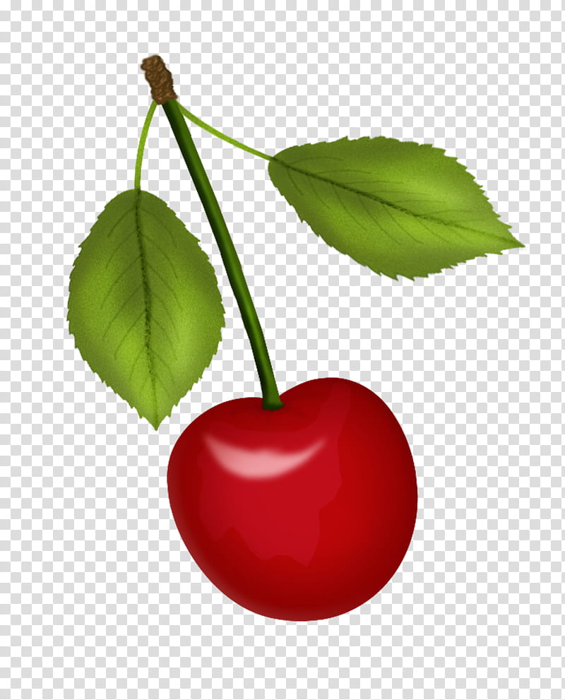 Cherries, red berry illustration transparent background PNG clipart