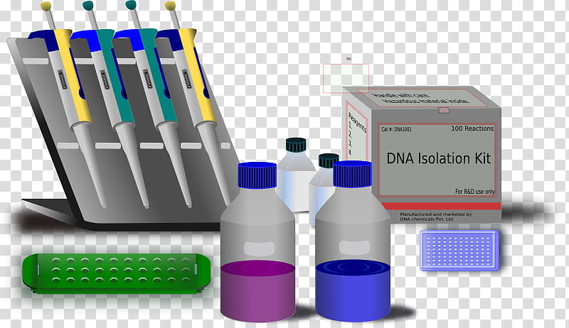 Water, Molecular Biology, Molecule, Dna, Polymerase Chain Reaction, Genetics, Molecular Genetics, Gel Electrophoresis transparent background PNG clipart