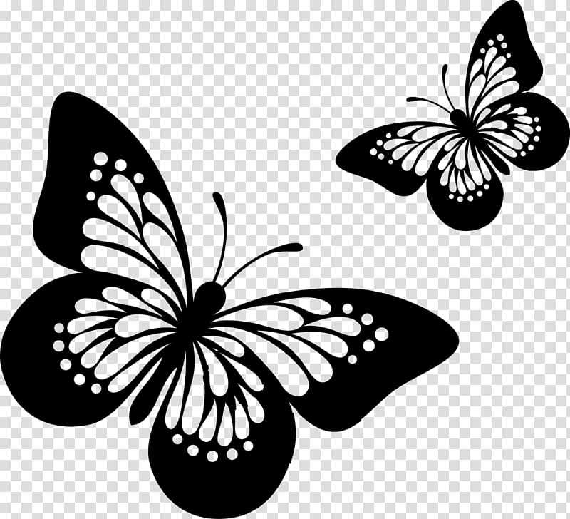 Moto Moto, Monarch Butterfly, Sticker, Mural, Wall Decal, Painting, Motorola Moto G4, Brushfooted Butterflies transparent background PNG clipart