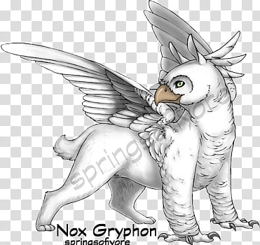 Nox Gryphon Marking Design Contest, Winners! transparent background PNG clipart