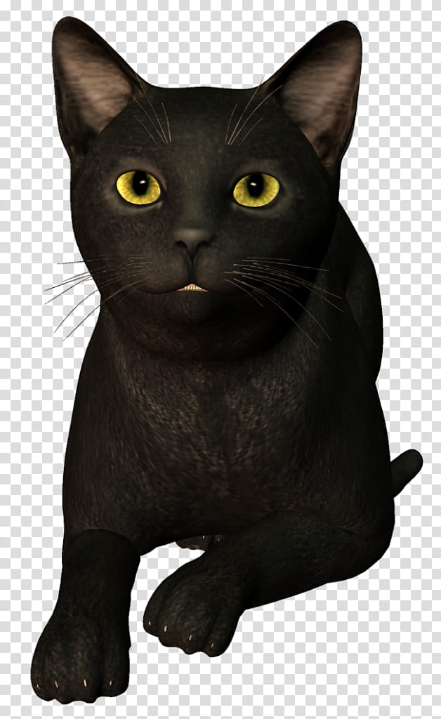 Cartoon Cat, Bombay Cat, Black Cat, Korat, Burmese Cat, Chartreux, Havana Brown, European Shorthair transparent background PNG clipart