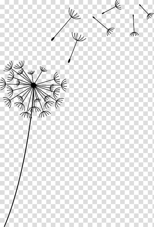 Drawing Of Family, Common Dandelion, Daisy Family, Line, Flower, Plant, Blackandwhite, Line Art transparent background PNG clipart