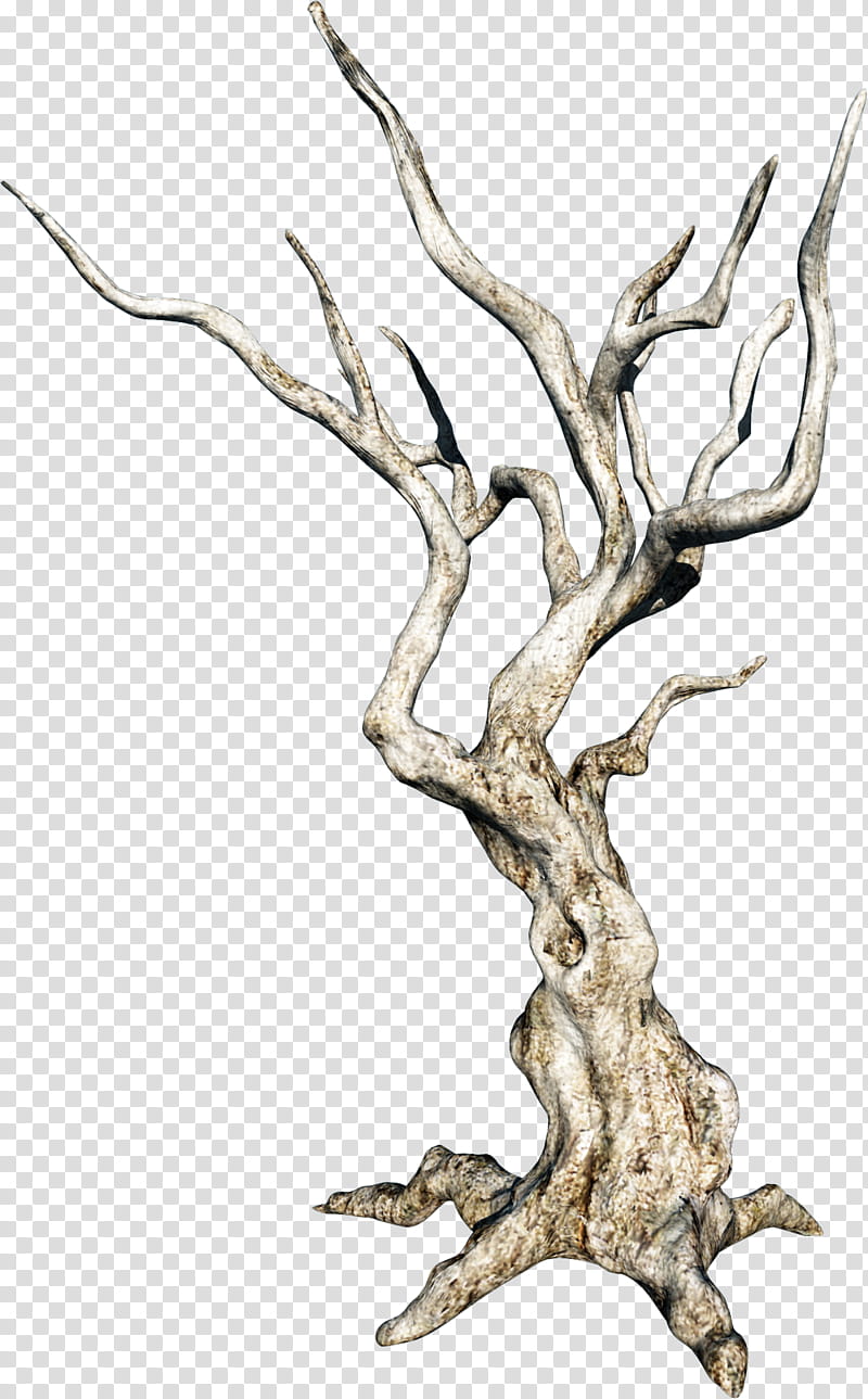Tree Trunk Drawing, Branch, Twig, Shrub, Wood, Painting, Snag, Root transparent background PNG clipart