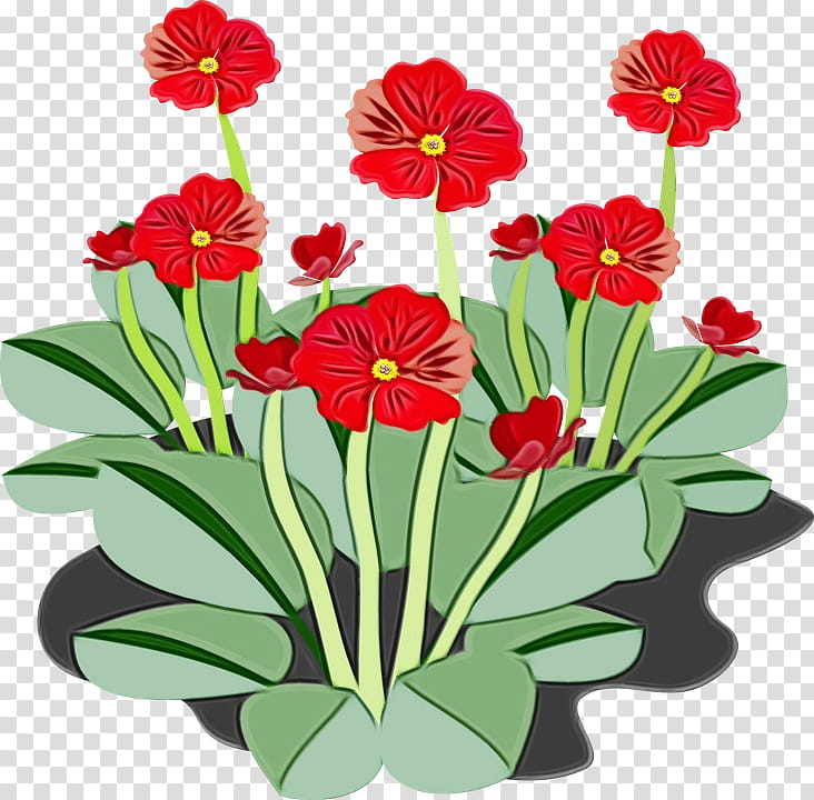 Drawing Of Family, Transportation, Flower, Plants, Red, Petal, Barberton Daisy, Plant Stem transparent background PNG clipart