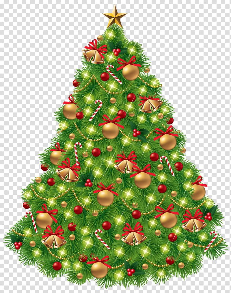 Christmas Tree, Santa Claus, Christmas Day, Christmas Ornament, Candy Cane, Father Christmas, Christmas Decoration, Spruce transparent background PNG clipart