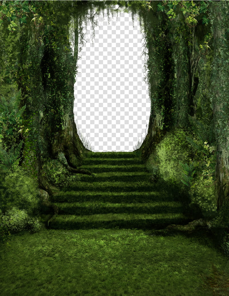 Forest Steps, grass covered pathway transparent background PNG clipart