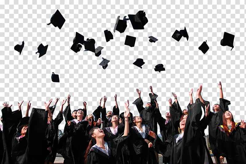 Business Background People, Graduation, Graduation Cap, Graduation Hat, Graduation Background, Graduate, Education
, Student transparent background PNG clipart