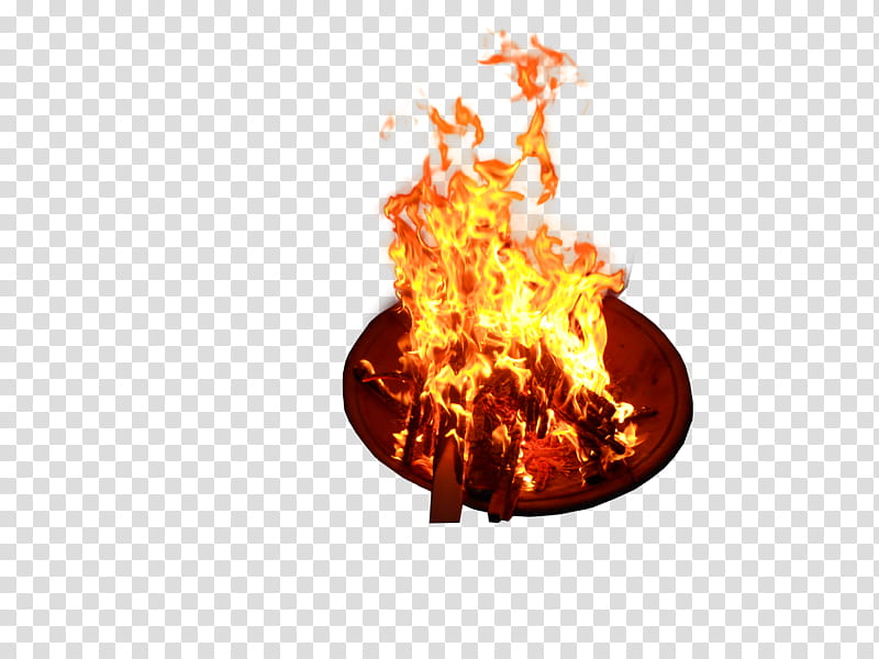 fire, wood burning on brown plate transparent background PNG clipart