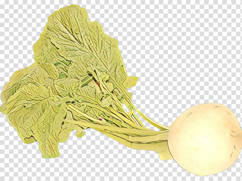 vegetable turnip food leaf vegetable wild cabbage, Plant transparent background PNG clipart