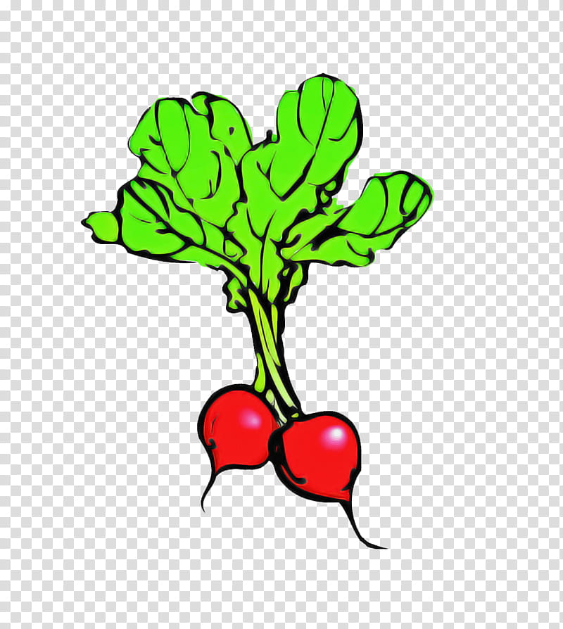 radish leaf plant beetroot flower, Vegetable, Food, Tree transparent background PNG clipart