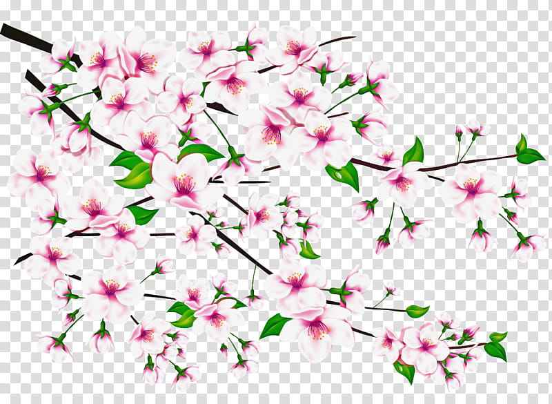 Floral Spring Flowers, Fuwa, Library, Floral Design, Plants, Plant Stem, Shrub, Twig transparent background PNG clipart