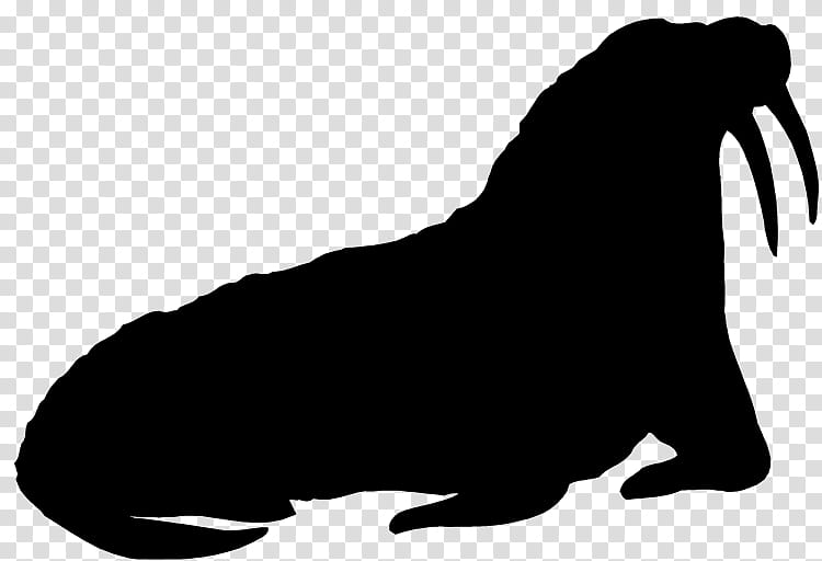 Dog Silhouette, Sea Lion, Beak, Snout, Black M, California Sea Lion, Seal, Walrus transparent background PNG clipart